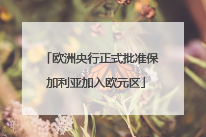 欧洲央行正式批准保加利亚加入欧元区