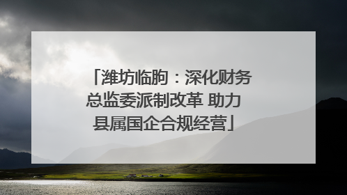 潍坊临朐：深化财务总监委派制改革 助力县属国企合规经营