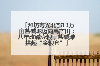 潍坊寿光北部13万亩盐碱地迈向高产田：八年改碱夺粮，盐碱滩拱起“金粮仓”