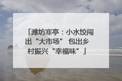 潍坊寒亭：小水饺闯出“大市场” 包出乡村振兴“幸福味”