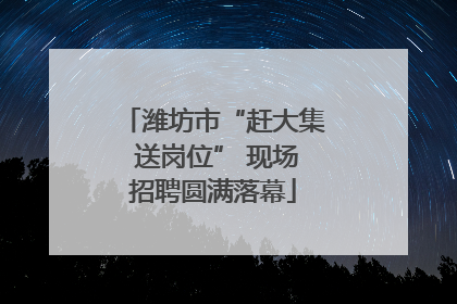 潍坊市“赶大集 送岗位” 现场招聘圆满落幕