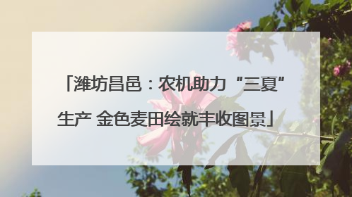 潍坊昌邑：农机助力“三夏”生产 金色麦田绘就丰收图景