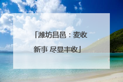 潍坊昌邑：麦收新事 尽显丰收