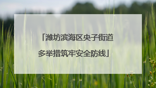 潍坊滨海区央子街道多举措筑牢安全防线
