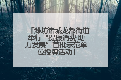 潍坊诸城龙都街道举行“提振消费·助力发展”首批示范单位授牌活动
