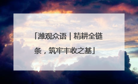 潍观众语｜精耕全链条，筑牢丰收之基