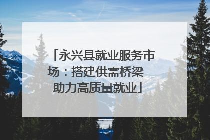 永兴县就业服务市场：搭建供需桥梁 助力高质量就业
