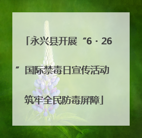 永兴县开展“6・26”国际禁毒日宣传活动 筑牢全民防毒屏障