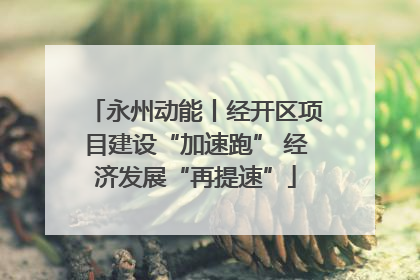 永州动能丨经开区项目建设“加速跑” 经济发展“再提速”