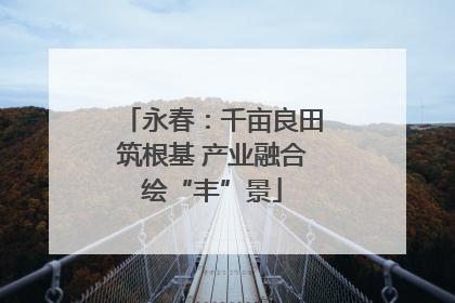 永春：千亩良田筑根基 产业融合绘“丰”景