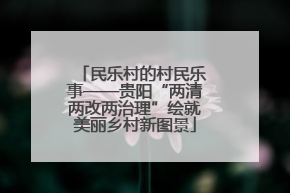 民乐村的村民乐事——贵阳“两清两改两治理”绘就美丽乡村新图景