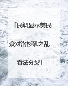 民调显示美民众对洛杉矶之乱看法分裂