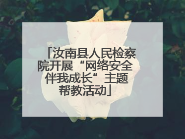 汝南县人民检察院开展“网络安全 伴我成长”主题帮教活动