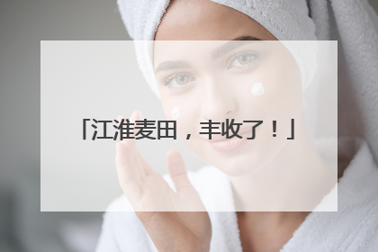 江淮麦田，丰收了！