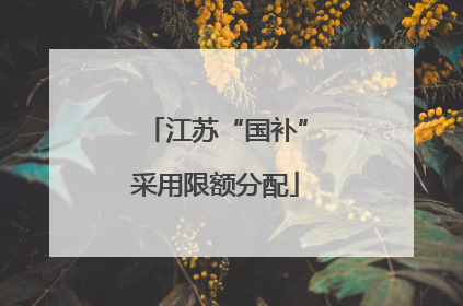 江苏“国补”采用限额分配