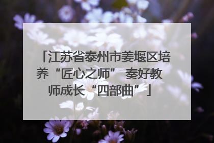 江苏省泰州市姜堰区培养“匠心之师” 奏好教师成长“四部曲”