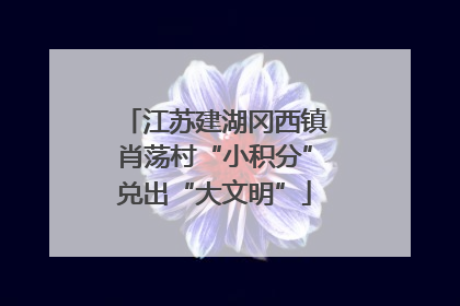 江苏建湖冈西镇肖荡村“小积分”兑出“大文明”