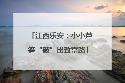 江西乐安：小小芦笋“破”出致富路