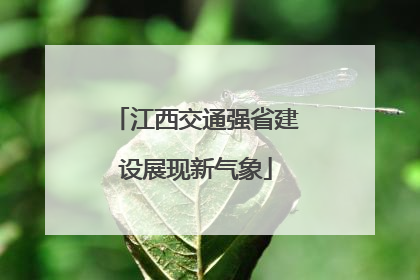 江西交通强省建设展现新气象