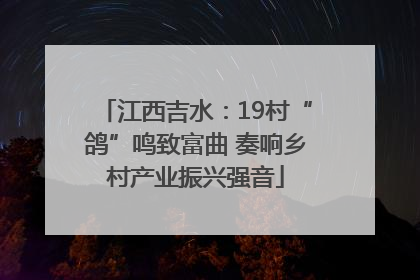江西吉水：19村“鸽”鸣致富曲 奏响乡村产业振兴强音