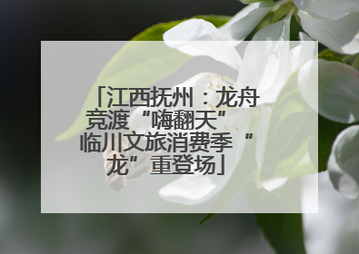 江西抚州：龙舟竞渡“嗨翻天” 临川文旅消费季“龙”重登场