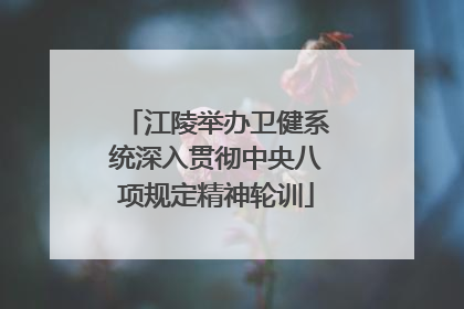 江陵举办卫健系统深入贯彻中央八项规定精神轮训