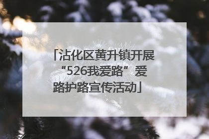 沾化区黄升镇开展“526我爱路”爱路护路宣传活动