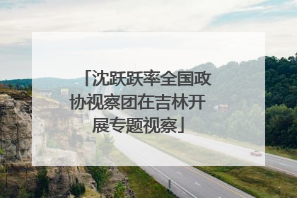 沈跃跃率全国政协视察团在吉林开展专题视察
