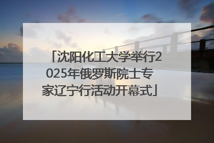 沈阳化工大学举行2025年俄罗斯院士专家辽宁行活动开幕式