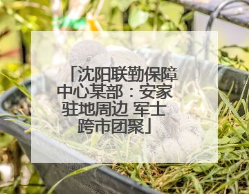 沈阳联勤保障中心某部：安家驻地周边 军士跨市团聚