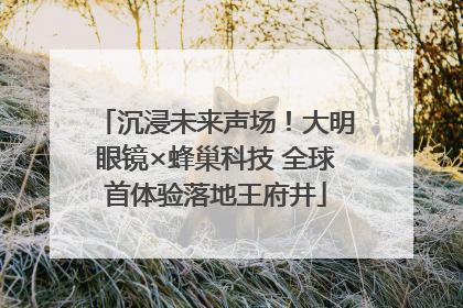 沉浸未来声场！大明眼镜×蜂巢科技 全球首体验落地王府井