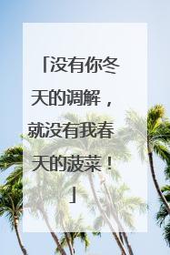 没有你冬天的调解，就没有我春天的菠菜！
