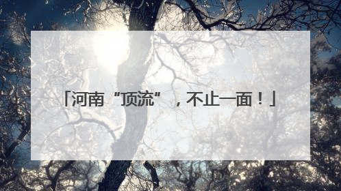 河南“顶流”，不止一面！