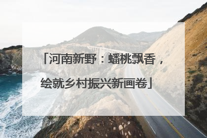 河南新野：蟠桃飘香，绘就乡村振兴新画卷
