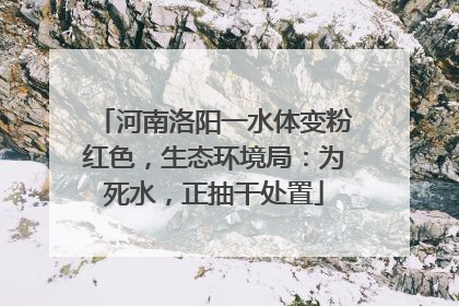 河南洛阳一水体变粉红色，生态环境局：为死水，正抽干处置
