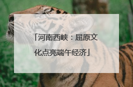 河南西峡：屈原文化点亮端午经济