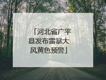 河北省广平县发布雷暴大风黄色预警