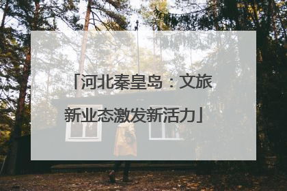河北秦皇岛：文旅新业态激发新活力