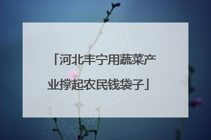 河北丰宁用蔬菜产业撑起农民钱袋子