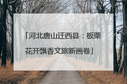 河北唐山迁西县：板栗花开飘香文旅新画卷