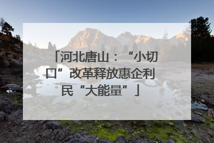 河北唐山：“小切口”改革释放惠企利民“大能量”
