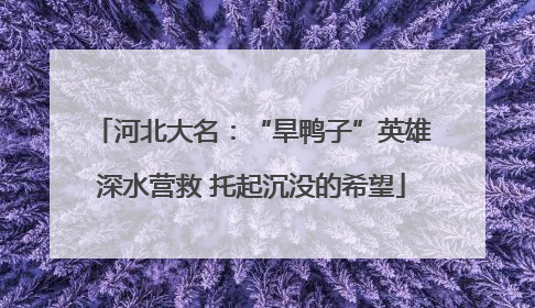 河北大名：“旱鸭子”英雄深水营救 托起沉没的希望