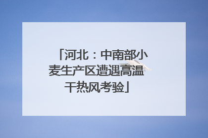 河北：中南部小麦生产区遭遇高温干热风考验