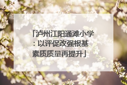 泸州江阳通滩小学：以评促改强根基 素质质量再提升