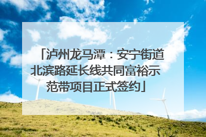 泸州龙马潭：安宁街道北滨路延长线共同富裕示范带项目正式签约