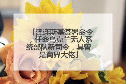泽连斯基签署命令，任命乌克兰无人系统部队新司令，其曾是商界大佬