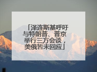 泽连斯基呼吁与特朗普、普京举行三方会谈，美俄暂未回应