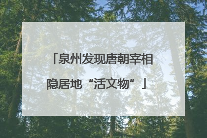 泉州发现唐朝宰相隐居地“活文物”