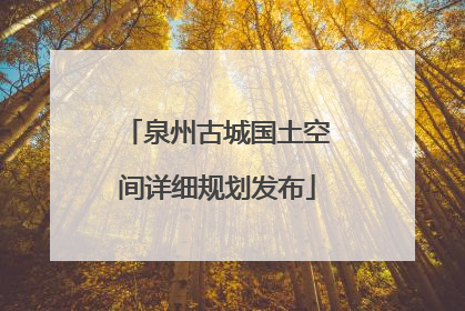 泉州古城国土空间详细规划发布