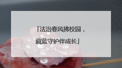 法治春风拂校园，藏蓝守护伴成长